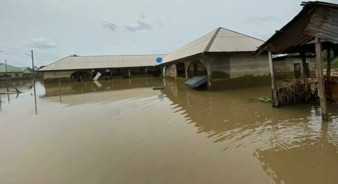 20250825 202454 e1756149930387