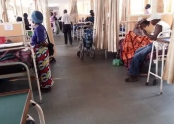 Adamawa flesh-eating disease