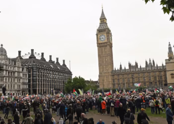 Donald Trump UK state visit protest