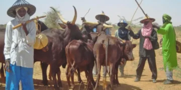 Miyetti Allah 1 660x367@2x 1280x720 1