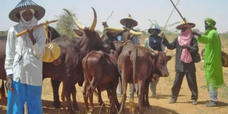 Miyetti Allah 1 660x367@2x 1280x720 1