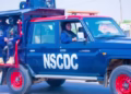 Gombe grave desecration suspects