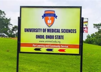 New Project 2021 11 07T152700.851