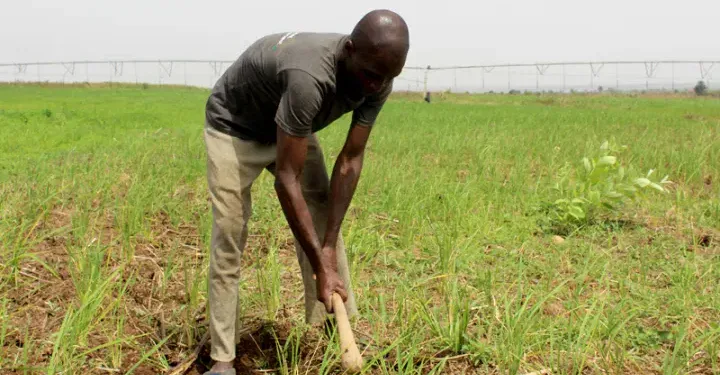 SQJkTrjate lsph71xopdVeUT0qTl0OvD8q8Joufr86P 54MgomkDiU4KpWXMHFnBHuBV BMmetiniyZg xYsom3v7fZ elHuS1NuYlwJ7oWdrg czxZnCGC3dMnILOJAQ