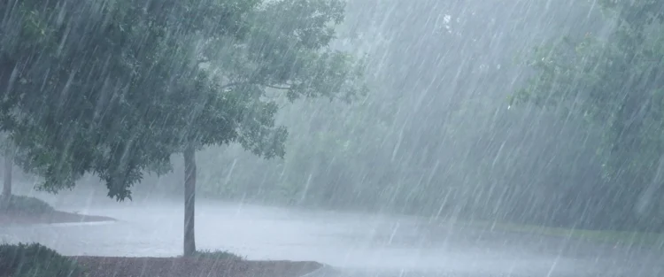 heavy rain