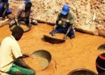 National economic council