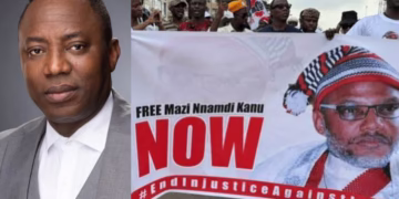 Sowore bail granted by Abuja court,