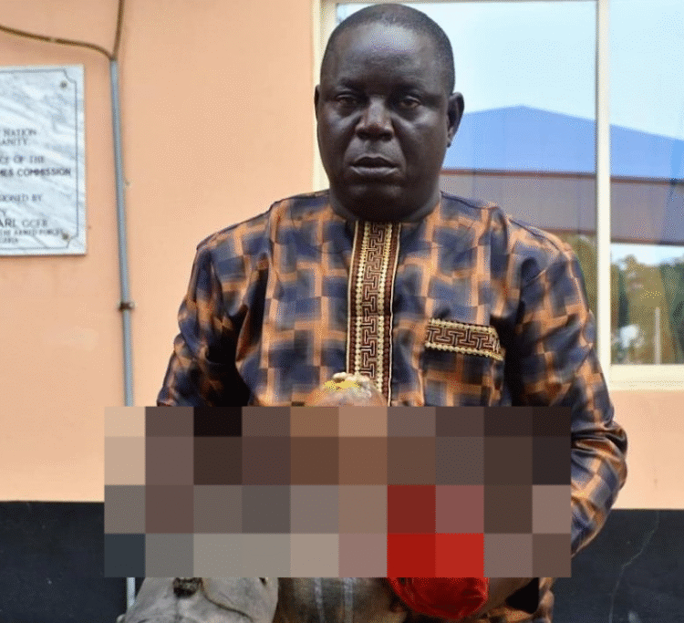 Broken image, no meaningful descriptions available.