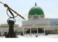 National Assembly election reform