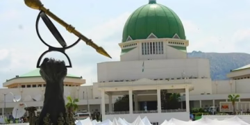 National Assembly election reform