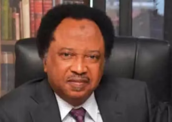 Shehu Sani on politician qualifications