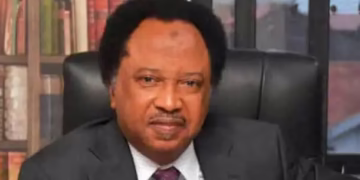 Shehu Sani on politician qualifications