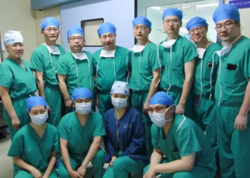 Pig liver transplant