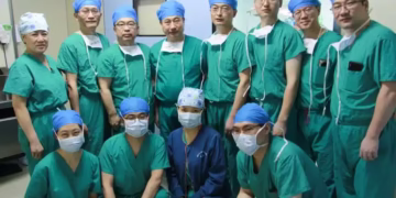 Pig liver transplant