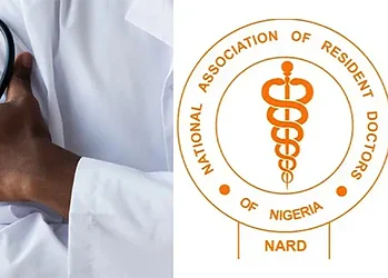 Stethoscope in hand of a healthcare professional symbolising medical care and professionalism.