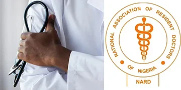 Stethoscope in hand of a healthcare professional symbolising medical care and professionalism.