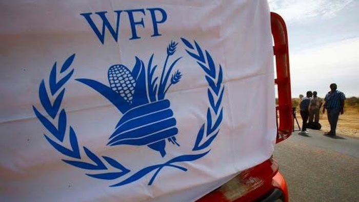 1. WFP logo on a vehicle, symbolising World Food Programme's humanitarian aid and food security efforts in rural communities.