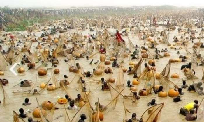 2152026120452 m6htl8w331 argungu fishing festival