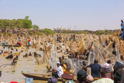 Screenshot 2026 02 15 at 10 24 20 PICTORIAL 2026 Argungu fishing festival showcases heritage skill spectacle Google Search 1