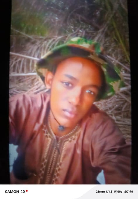 388e69c9 15f5 45e7 b3cf 1731df83e099