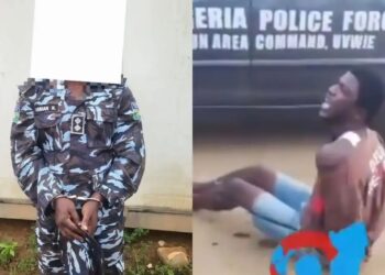 Delta police officer