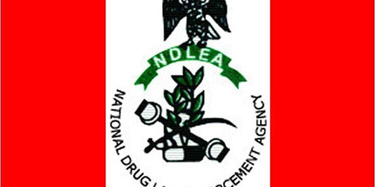 NDLEA