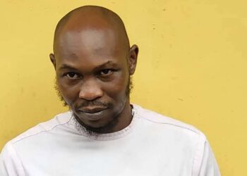 Seun Kuti