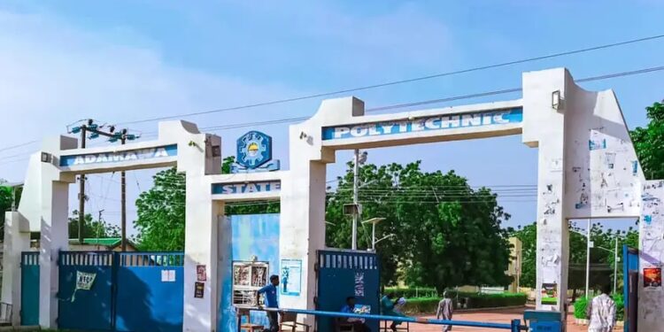 Adamawa
