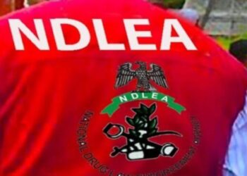NDLEA