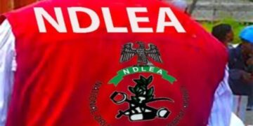 NDLEA