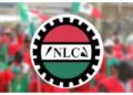 NLC