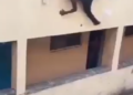 Shocking video