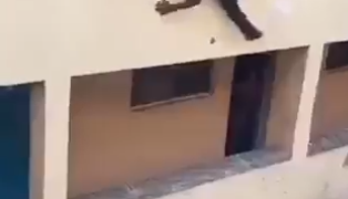 Shocking video