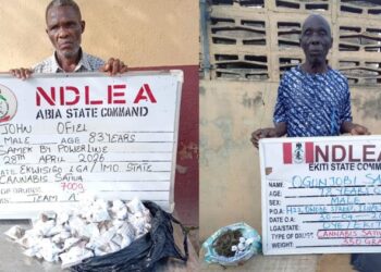 NDLEA