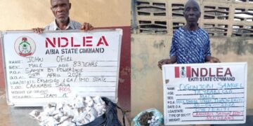 NDLEA