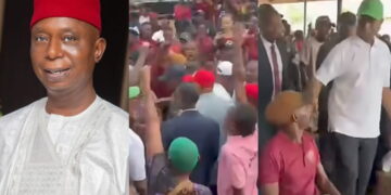 Ned Nwoko