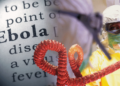 Ebola