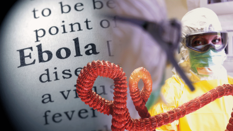 ebola 2