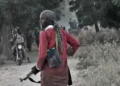 Kogi