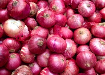 Nigeria resumes Onion exports to Ghana