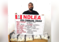 NDLEA